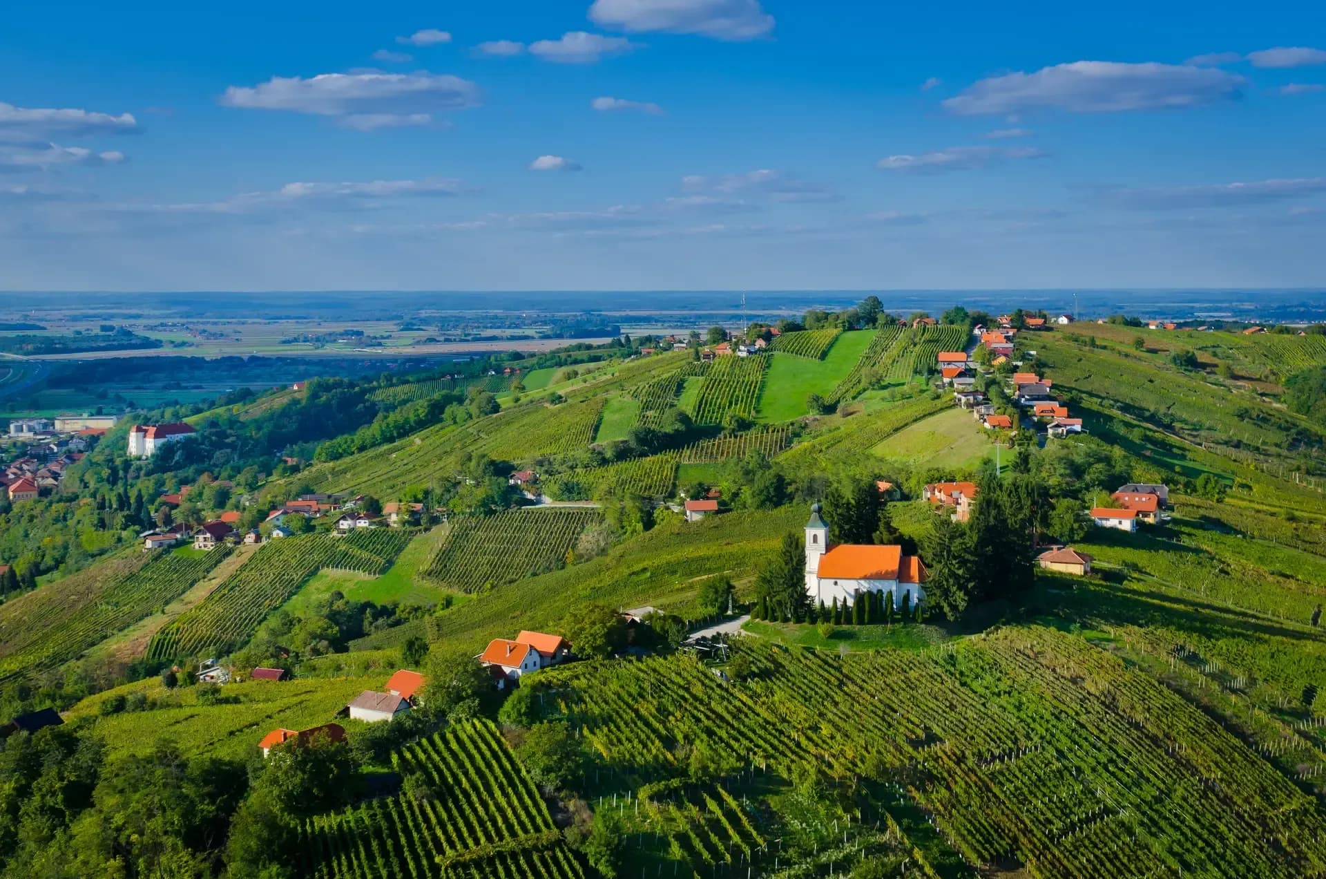 Kopcovitá krajina s vinicemi, malým kostelíkem a domy s oranžovými střechami